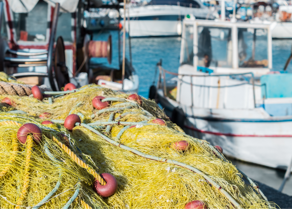 Cables y Fibras-About